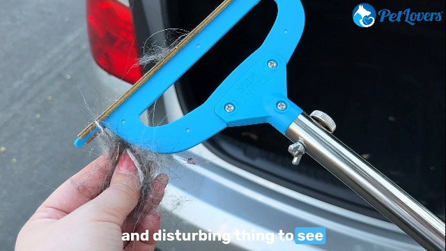 Amazon.com: PetLovers EzLint Mega 52